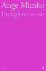 Foxglovewise