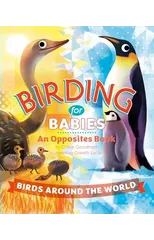Birding for Babies