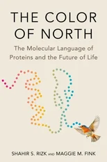 The Color of North