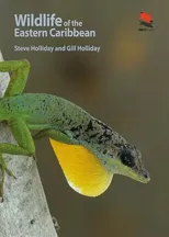 Wildlife of the Eastern Caribbean