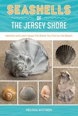 Seashells of the Jersey Shore