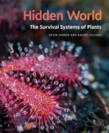 Hidden World