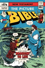 Picture Bible New Testament, The