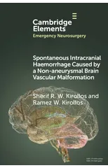 Spontaneous Intracranial Haemorrhage Caused by a Non-aneurysmal Brain Vascular Malformation