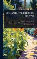 Ornamental Hibiscus in Hawaii