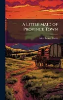 A Little Maid of Province Town