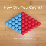 How Did You Count?
