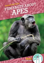 Fun Facts About Apes