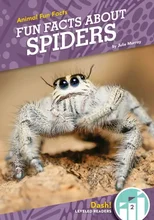 Fun Facts About Spiders