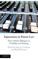 Injunctions in Patent Law