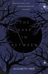 The Dark In-Between