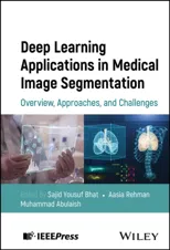 Deep Learning Applications in Medical Image Segmentation