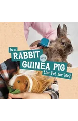 Is a Rabbit or a Guinea Pig the Pet for Me?