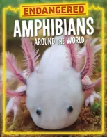 Endangered Amphibians Around the World