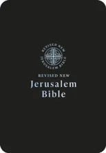 RNJB Popular Black imitation Leather Bible