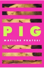 Pig