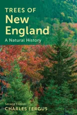 Trees of New England