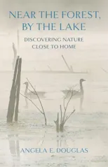 Near the Forest, by the Lake