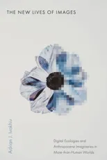 The New Lives of Images