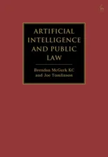 Artificial Intelligence and Public Law