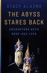 The Abyss Stares Back