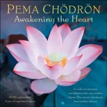 Pema Chodron 2026 Wall Calendar