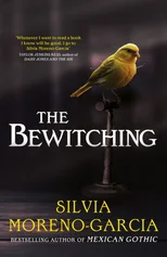 The Bewitching