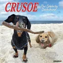 Crusoe the Celebrity Dachshund 2026 12 X 12 Wall Calendar