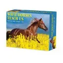 What Horses Teach Us 2026 5.4 X 6.2 Box Calendar