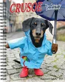 Crusoe the Celebrity Dachshund 2026 6.5 X 8.5 Engagement Calendar