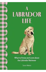 A Labrador Life