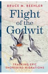 Flight of the Godwit
