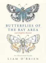 Butterflies of the Bay Area and (Slightly) Beyond