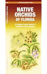 Native Orchids of Florida