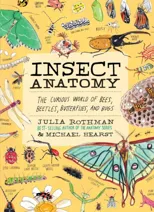 Insect Anatomy