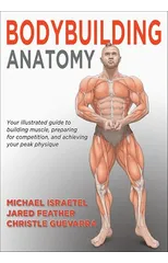 Bodybuilding Anatomy