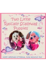 Two Little Rascally Scallywag Puppies