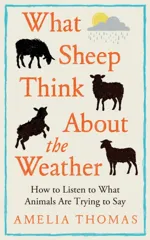 What Sheep Think About the Weather