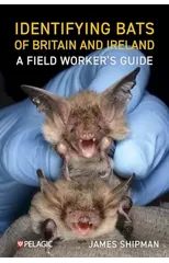 Identifying Bats of Britain and Ireland