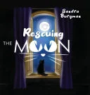 Rescuing the moon