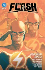 The Flash Vol. 4