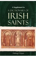 A dictionary of Irish Saints