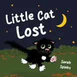Little Cat Lost