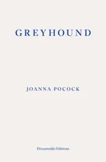 Greyhound