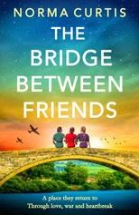 The Bridge Between Friends