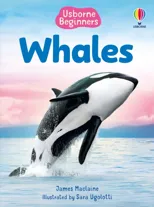Beginners Whales