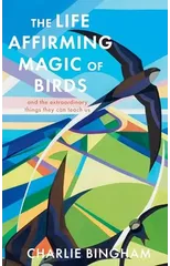 The Life-Affirming Magic of Birds