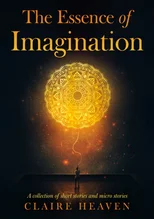 The Essence of Imagination