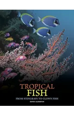 Tropical Fish