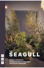 The Seagull